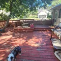 Room for rent in North Burnet #13