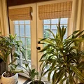 Room for rent in Kennesaw #6