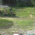 Room for rent in Orange #6