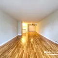 1 bedroom apartment for rent in Gold Coast - Central, Chicago
