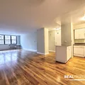 1 bedroom apartment for rent in Gold Coast - Central, Chicago