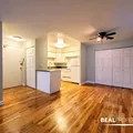 1 bedroom apartment for rent in Gold Coast - Central, Chicago