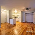 1 bedroom apartment for rent in Gold Coast - Central, Chicago