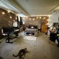 Room for rent in Capitol Hill DEN #5