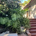 Room for rent in Hollywood Hills #4