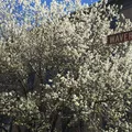 Studio Apartment for rent in West Village - Manhattan, New York