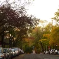 Studio Apartment for rent in Upper West Side - Manhattan, New York