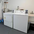 1 bedroom apartment for rent in Bushwick - Brooklyn, New York