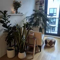 Room for rent in Harlem #7