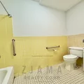 1 bedroom apartment for rent in Flatbush Ditmas Park - Brooklyn, New York