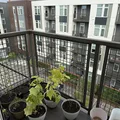 Room for rent in Shoreline #11