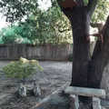 Room for rent in Folsom #5