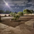 Room for rent in Mesa #12