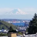 Room for rent in Magnolia #3