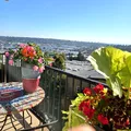 Room for rent in Magnolia #6