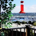 Room for rent in Magnolia #1