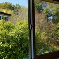 Room for rent in Magnolia #13