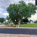 Room for rent in Paradise Hills #13
