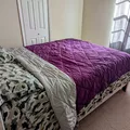 Room for rent in Maitland #2