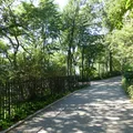 1 bedroom apartment for rent in Upper West Side - Manhattan, New York
