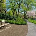 1 bedroom apartment for rent in Upper West Side - Manhattan, New York
