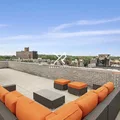 Studio Apartment for rent in Flatbush Ditmas Park - Brooklyn, New York