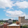 1 bedroom apartment for rent in Harlem - Manhattan, New York