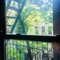 2 bedrooms apartment for rent in Harlem - Manhattan, New York