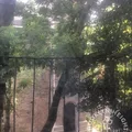 Studio Apartment for rent in Brooklyn Heights - Brooklyn, New York
