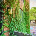 Studio Apartment for rent in Midtown West - Manhattan, New York
