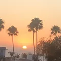 Room for rent in Redondo Beach #7