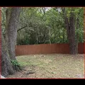 Room for rent in Downtown Jacksonville #3