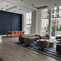 1 bedroom apartment for rent in Williamsburg - Brooklyn, New York