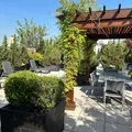 1 bedroom apartment for rent in Williamsburg - Brooklyn, New York