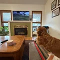 Room for rent in Westminster #3