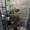 Room for rent in Westminster #5