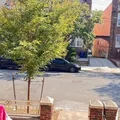 4 bedrooms apartment for rent in Marine Park - Brooklyn, New York