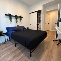 Coliving in Garden District - Downtown TO, Toronto