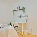 Coliving in Edmonds - Burnaby / New West, Vancouver