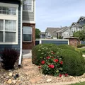 Room for rent in Broomfield #15