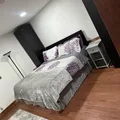 Room for rent in Lincoln Park #1