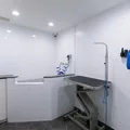 1 bedroom apartment for rent in Prospect Lefferts Gardens - Brooklyn, New York
