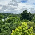 1 bedroom apartment for rent in Prospect Lefferts Gardens - Brooklyn, New York