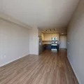 1 bedroom apartment for rent in Jamaica - Queens, New York