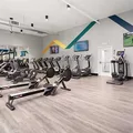 Coliving in Hollywood Hills - Central Los Angeles, Los Angeles