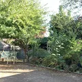 Room for rent in Government Road #5