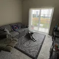 Room for rent in Marysville #3