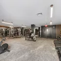Studio Apartment for rent in Harlem - Manhattan, New York