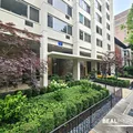 1 bedroom apartment for rent in Gold Coast - Central, Chicago