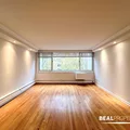 1 bedroom apartment for rent in Gold Coast - Central, Chicago